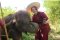 ดูแลช้างครึ่งวันตอนเช้า Elephant Rescue Park (B)