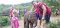 กิจกรรมเลี้ยงช้างครึ่งวันเช้า ที่ Elephant Village Sanctuary