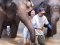 Elephant Sanctuary Care Park（半日早上）
