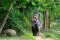 Elephant Trekking & Waterfall