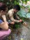 2 Days 1 Night Doi Inthanon Hilltribe Hiking Trails