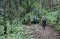One Day Hiking Trail – Doi Inthanon Hilltribe Trail