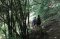 2 Days 1 Night Doi Inthanon Hilltribe Hiking Trails