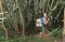 2 Days 1 Night Doi Inthanon Hilltribe Hiking Trails