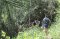 One Day Hiking Trail – Doi Inthanon Hilltribe Trail