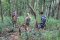 One Day Hiking Trail – Doi Inthanon Hilltribe Trail