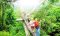 Free Segway Historical City Tour with Purchase of Zipline Eco-Adventure Canopy Tour