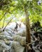 Half Day Bua Tong Sticky Waterfall