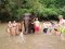 Half Day Morning Hug elephant sanctuary