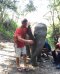 Into The Wild Elephant Camp（早上半天）