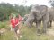 ดูแลช้างเต็มวัน (ไม่มีขี่ช้าง) Into The Wild Elephant Camp