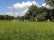 Into the Lanna Countryside
