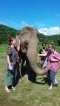 Half Day Afternoon Joining Elephant Sanctuary