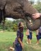ดูแลช้างครึ่งวันตอนบ่าย Kanta Elephant Sanctuary