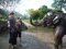 ดูแลช้างเต็มวัน (ไม่มีขี่ช้าง) Kanta Elephant Sanctuary