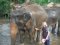 One Day Kanta Elephant Sanctuary