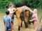 Half Day Elephant Bathing & Feeding
