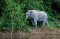 2 Days 1 Night Khao Sok Lake Raft House Wild Watch
