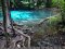One Day Jungle Cycling Tour