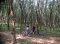 One Day Long Distance Cycling 56km