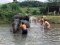 ดูแลช้างเต็มวัน (ไม่มีขี่ช้าง) Maeklang Elephant Conservation Community