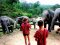 กิจกรรมเลี้ยงช้าง ครึ่งวันเช้า ที่ Ming Elephant Sanctuary Village