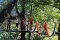 Pong Yang Jungle Coaster & Zipline A