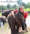 ดูแลช้างครึ่งวันตอนเช้า Rantong Save Rescue Elephant Centre