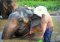 One Day Ran Tong Elephant Care