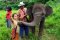 照顾大象半日游下午（没有骑大象）Rantong Save Rescue Elephant Centre