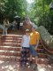 Special Doi Suthep Trekking + 4 waterfall