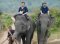 照顾关怀大象骑大象一日游Thai Elephant Home Mahout Training