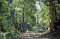 Samoeng Loop Extreme elevation change Road ride  ( Mountain Biking )