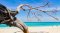 Phi Phi Island Bamboo Island - Maya Bay - Pileh Lagoon ( Seastar )