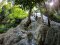 STICKY WATERFALL EXPLORER  ( TRAIL HEAD )