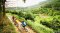 Samoeng Loop Extreme elevation change Road ride  ( Mountain Biking )