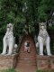 One Day Doi Suthep & elephant Care At Home