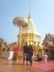 One Day Doi Suthep & Zipline Adventure