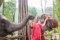 One Day Chiang Mai Elephant Sanctuary