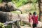 Chiang Mai Elephant Sanctuary（下午半日游）