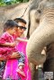 Chiang Mai Elephant Sanctuary（下午半日游）