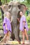 One Day Chiang Mai Elephant Sanctuary