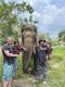 One Day Chiang Mai Elephant Refuge