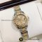 R​o​l​e​x Yacht-Master ​ 2k หน้าทอง 29mm