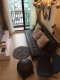 THE NICHE PRIDE THONGLOR