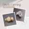 Studs Earring 002