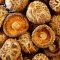 Dried Shiitake Mushroom