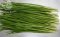 Chinese Chive cut