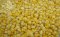 Sweet Corn