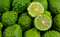 Kaffir Lime